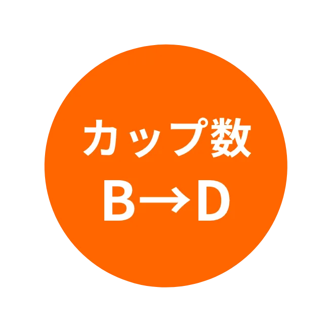 カップ数BからDに変更